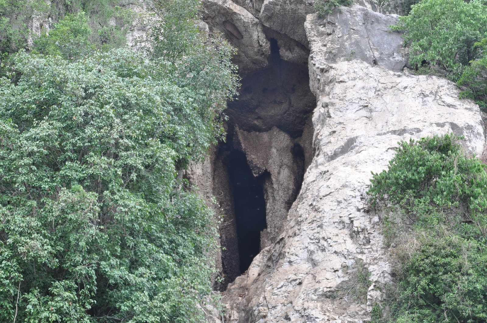 Scopri la Bat Cave in Cambogia: un tesoro naturale da esplorare - Krong Kaeb | Secret World Trip Planner