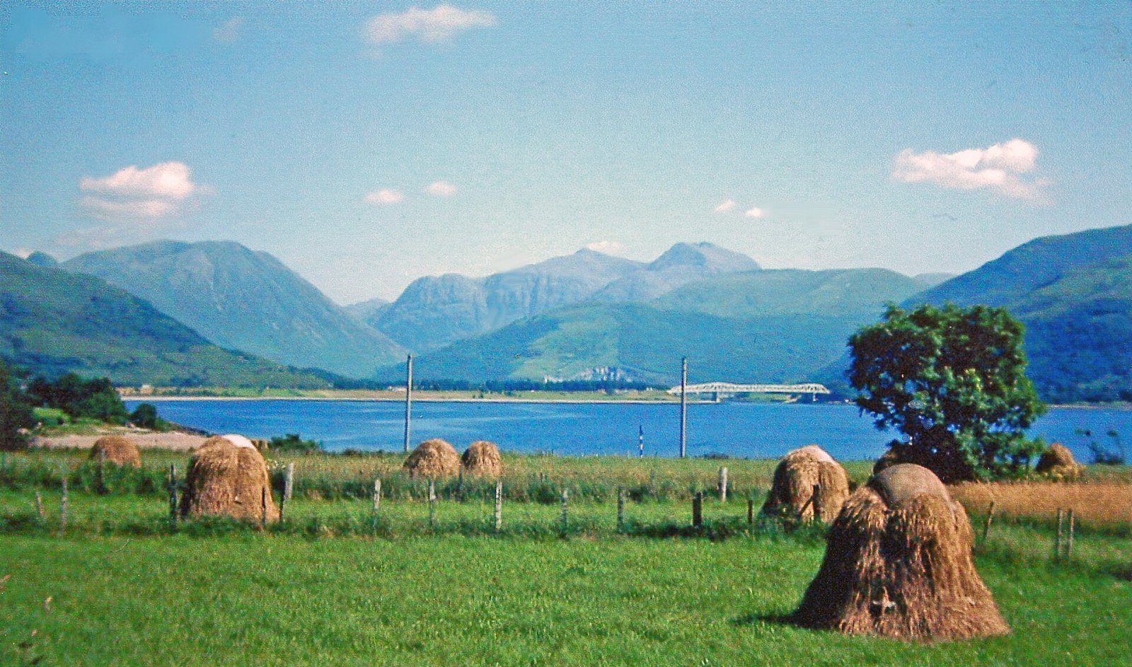 Discover Sgor nam Fiannaidh: An Untouched Nature Spot in Scotland — MXH7+Q4 Ballachulish