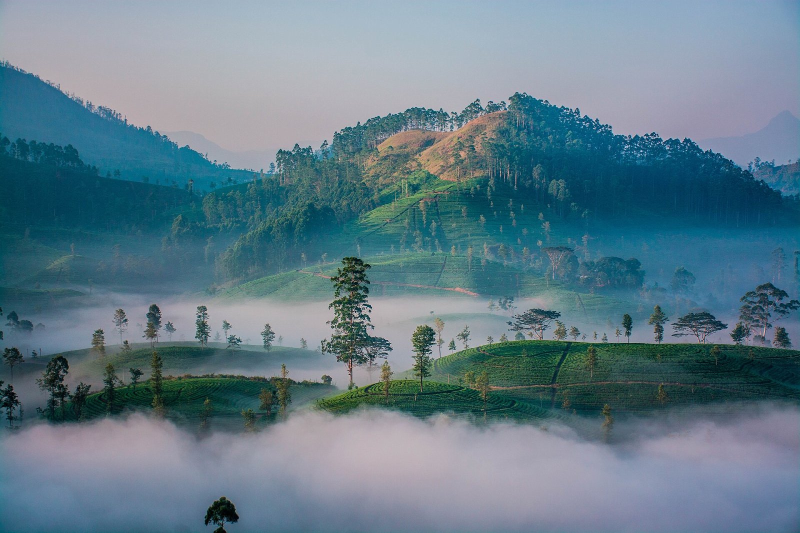 Kotagala: Ein unberührtes Naturparadies in Sri Lanka — Hatton