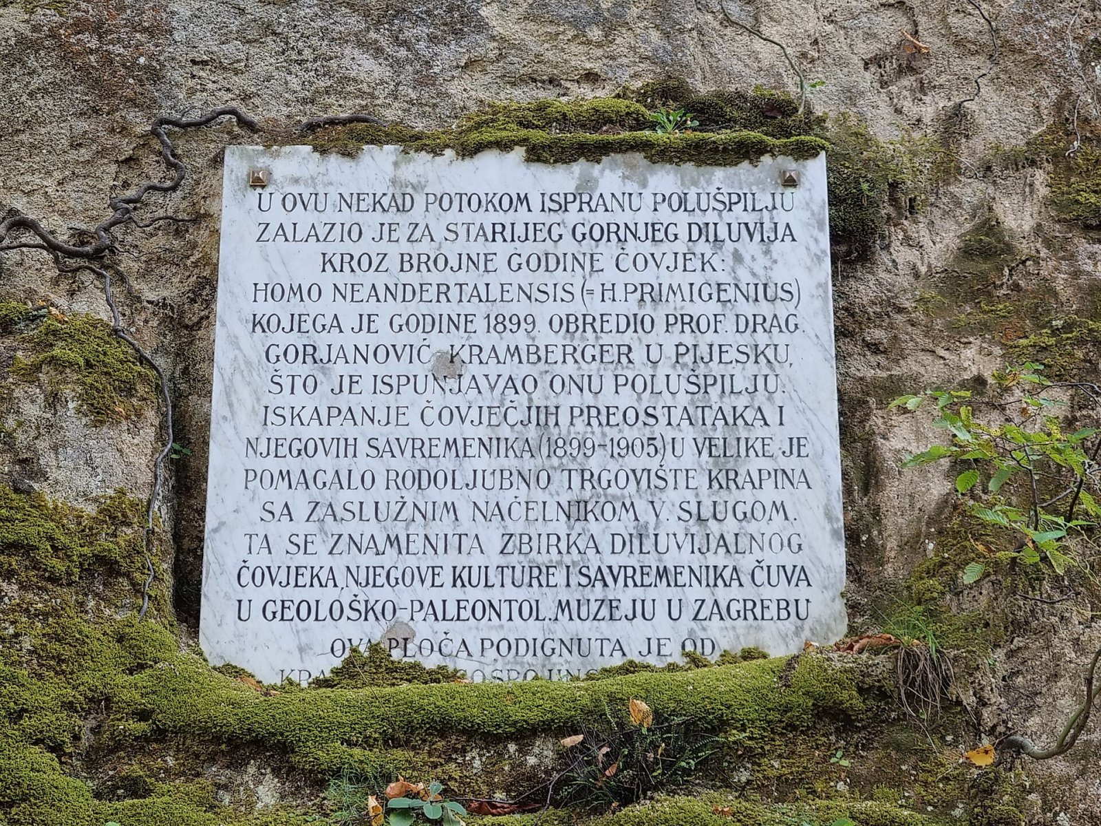 Descubre Hušnjakovo: el sitio arqueológico de los Neandertales en Croacia - Krapina | Secret World Trip Planner