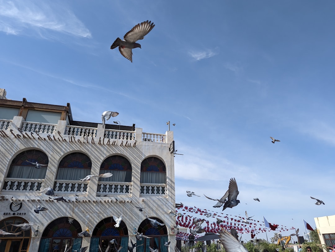 Souq Waqif: il mercato storico nel cuore di Doha - Doha | Secret World Trip Planner