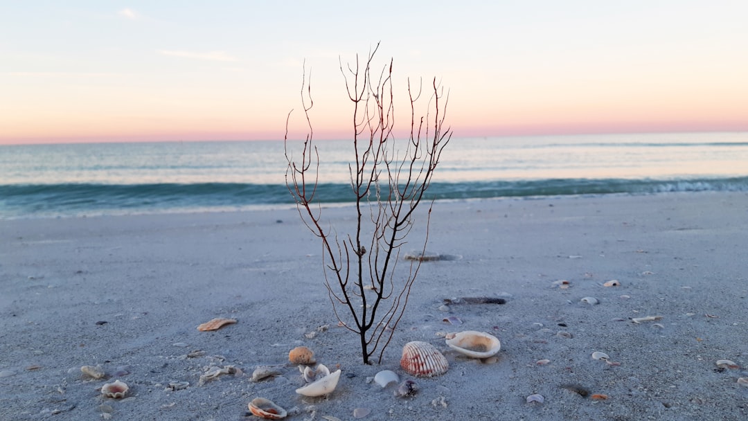 Treasure Beach: le spiagge dimenticate della Giamaica del sud - Treasure Beach | Secret World Trip Planner
