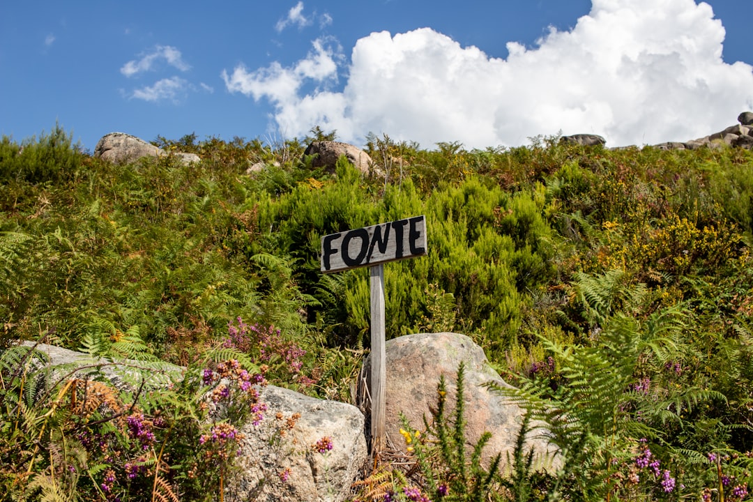 Der Leuchtturm von Pointe du Bout: Eisen und Korallen - Pointe du Bout | Secret World Trip Planner