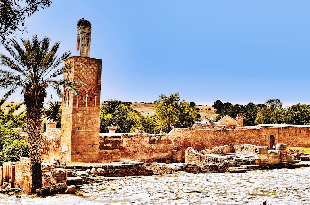 Chellah : ruines romaines et cigognes à Rabat - 254H+HVC | Secret World Trip Planner