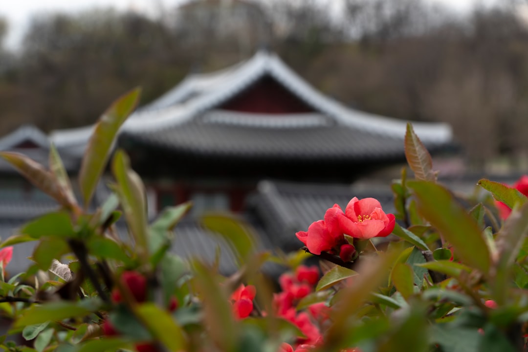 Gyeonghuigung : le palais paisible de Séoul - Jongno District | Secret World Trip Planner