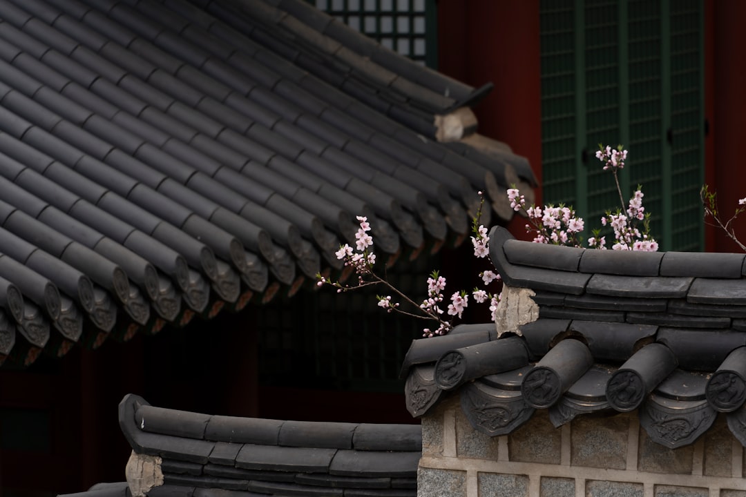 景福宫:首尔的宁静宫殿 - Jongno District | Secret World Trip Planner
