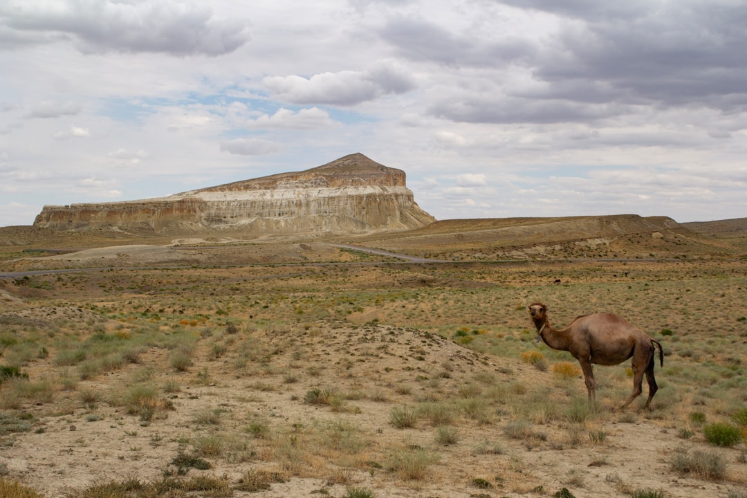 Montagne Aktau: i badlands bianchi del Kazakistan — X6QJ+P6Q