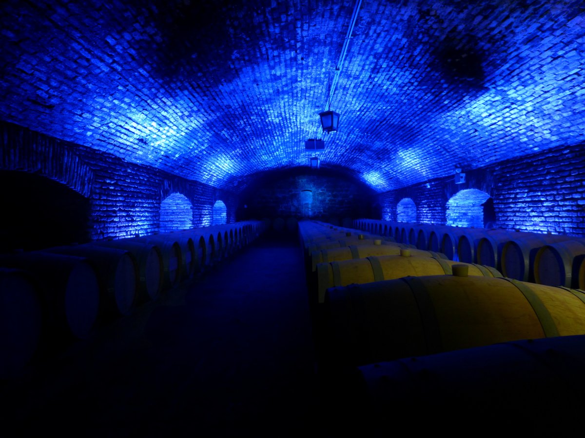 Viña Concha y Toro: vini e cantine a Pirque - Pirque | Secret World Trip Planner