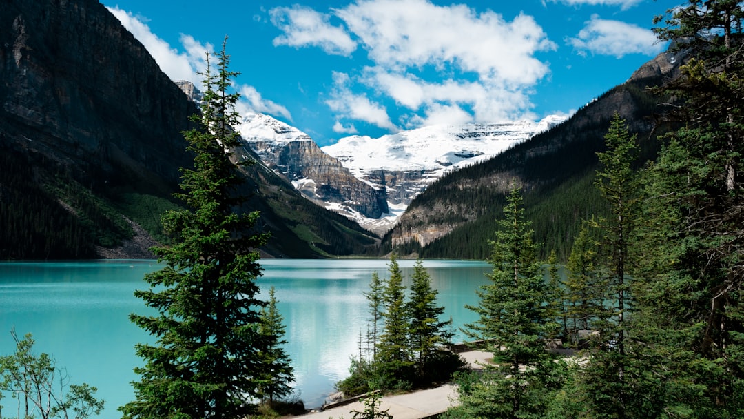Lac Peyto : le lac turquoise des Rocheuses - Lake Louise | Secret World Trip Planner