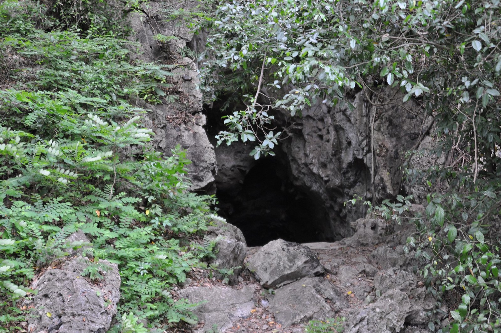 Killing Cave: eine Reise zwischen Erinnerung und Natur in Kambodscha — Krong Battambang