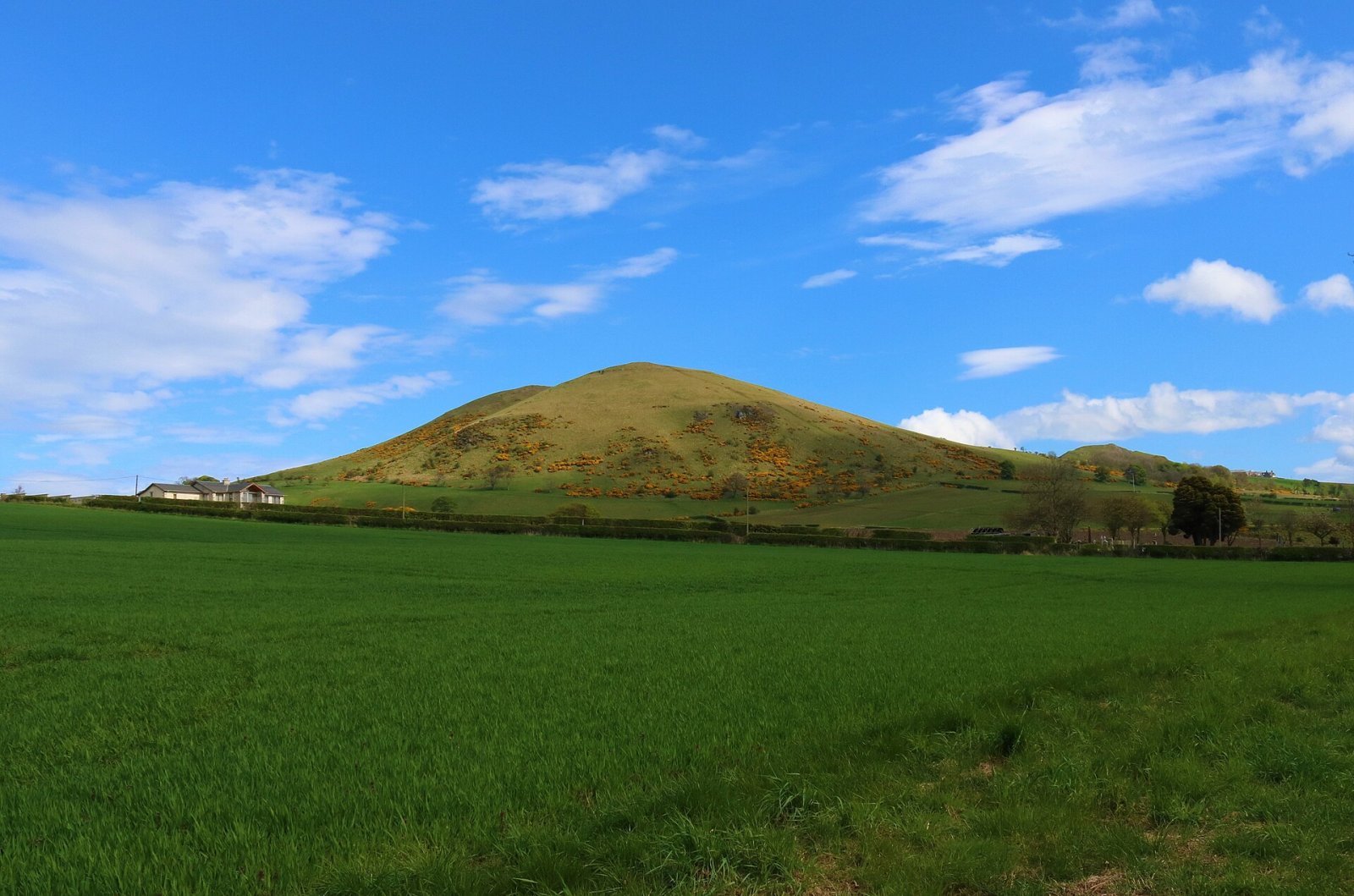 Discover Largo Law: A Natural Paradise in Scotland — 63MF+HM Leven