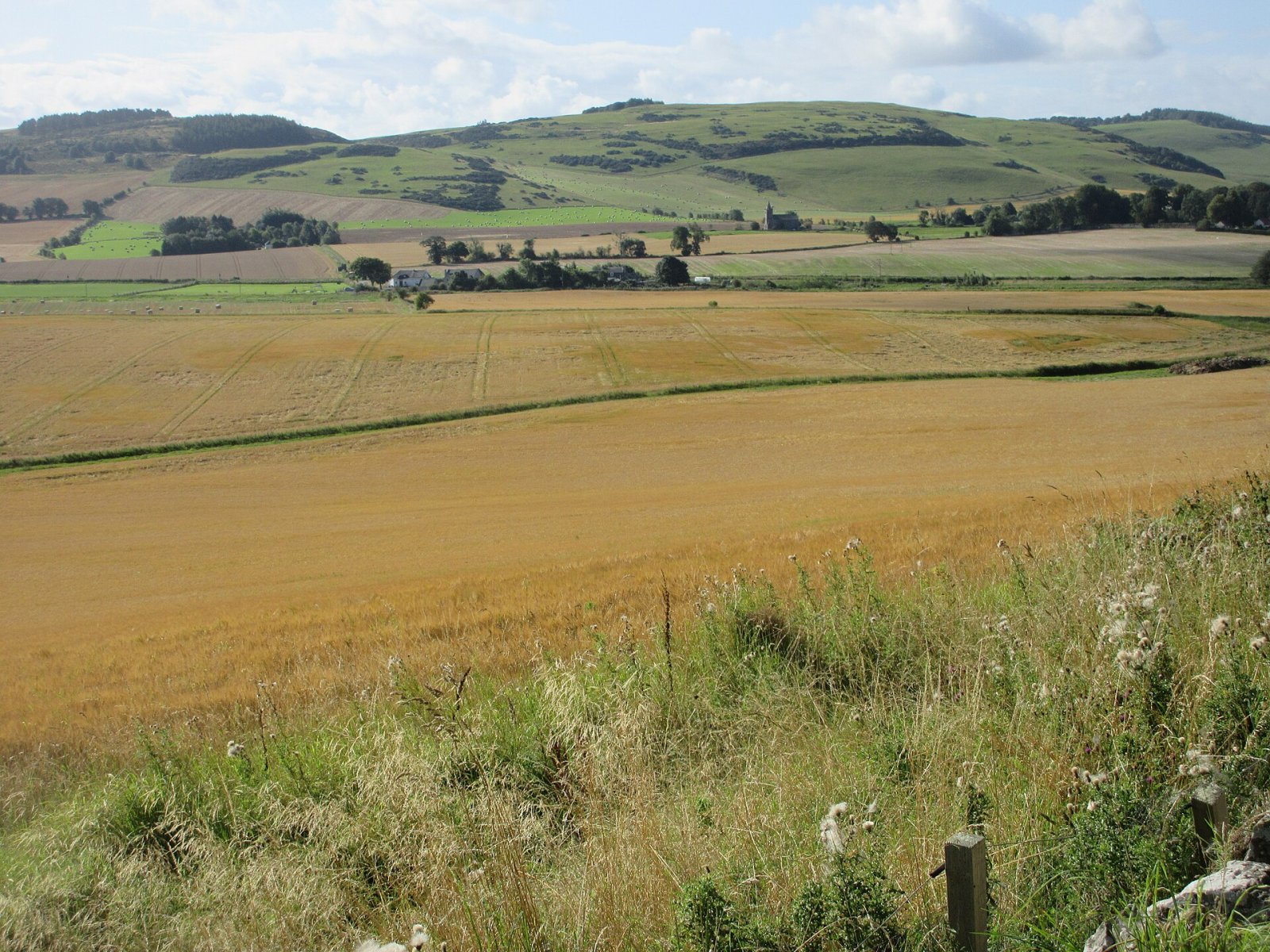 Scopri Glenduckie Hill: un angolo di natura in Scozia - 9R7Q+F5 Cupar | Secret World Trip Planner