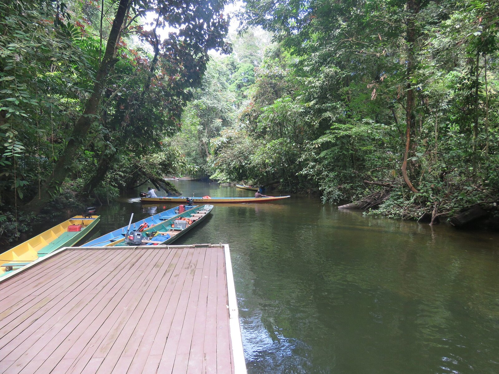Entdecke die Magie der Clearwater Cave in Malaysia