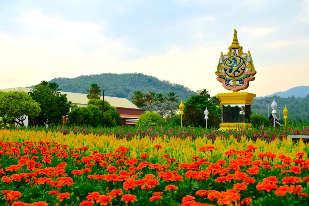 Scopri Doi Nang Non: La Montagna della Donna Addormentata in Thailandia - Mae Sai District | Secret World Trip Planner