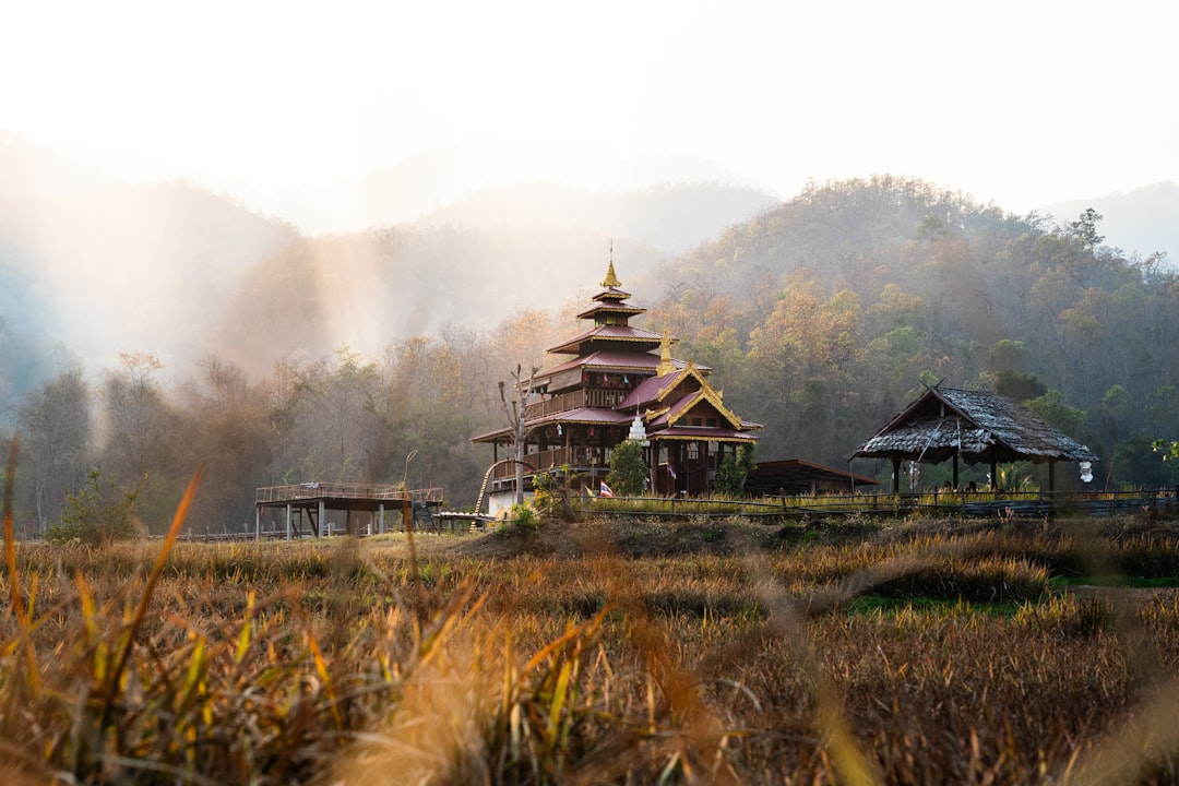 Entdecke Doi Tung: das versteckte Juwel Thailands - Mae Sai District | Secret World Trip Planner