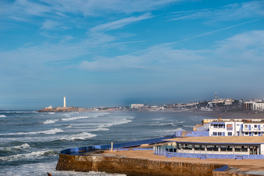 Valle di Casablanca: vini cileni tra oceano e vigne - Casablanca | Secret World Trip Planner