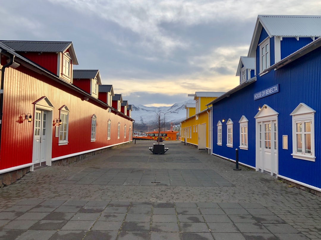 Murales e aringhe a Siglufjörður: arte sul fiordo - Snorragata 10 | Secret World Trip Planner