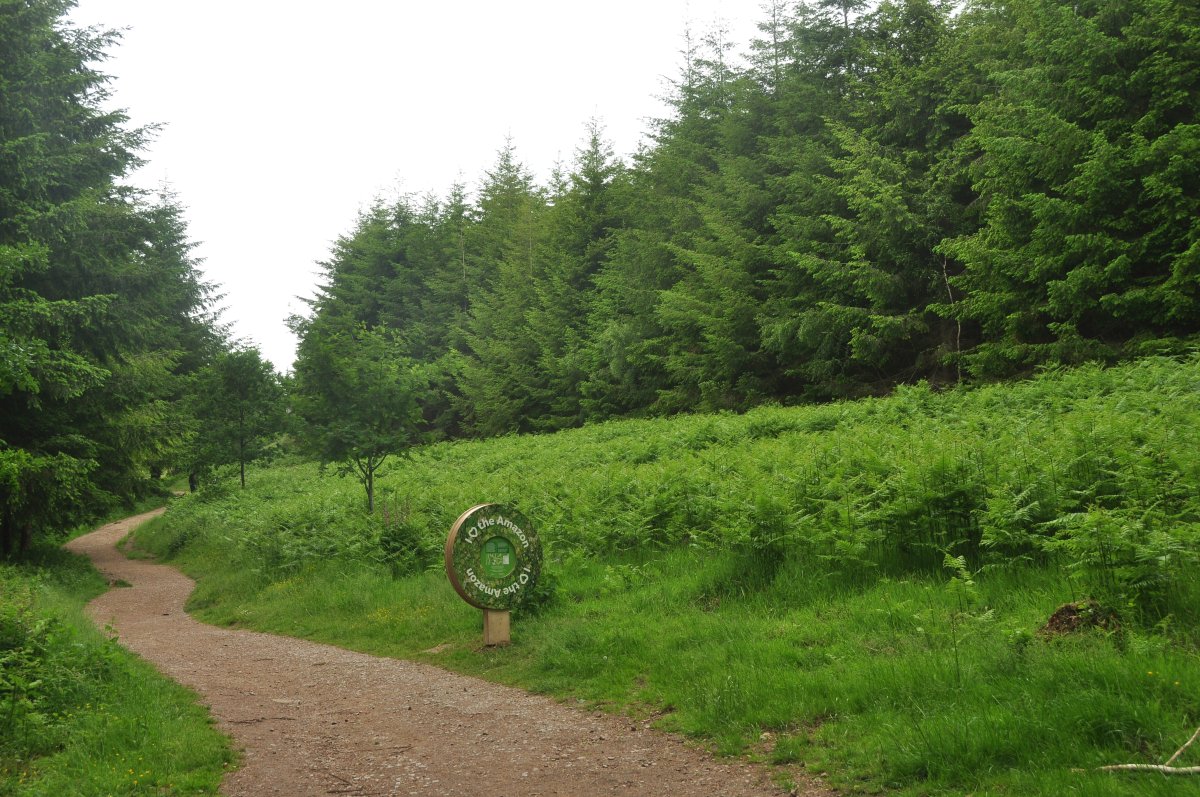 Forest of Dean Sculpture Trail: Art in the Ancient Woods - Speech House Rd | Secret World Trip Planner
