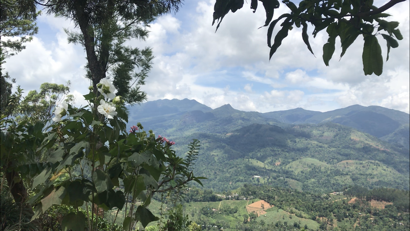 Discover Knuckles: The Natural Paradise of Sri Lanka - Kandy | Secret World Trip Planner