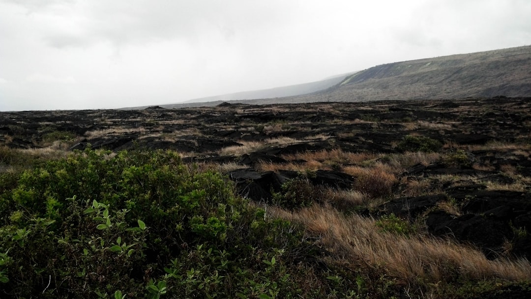 Mountain Gorillas in Kinigi: Trekking in Volcano Park - GHWP+JFM | Secret World Trip Planner