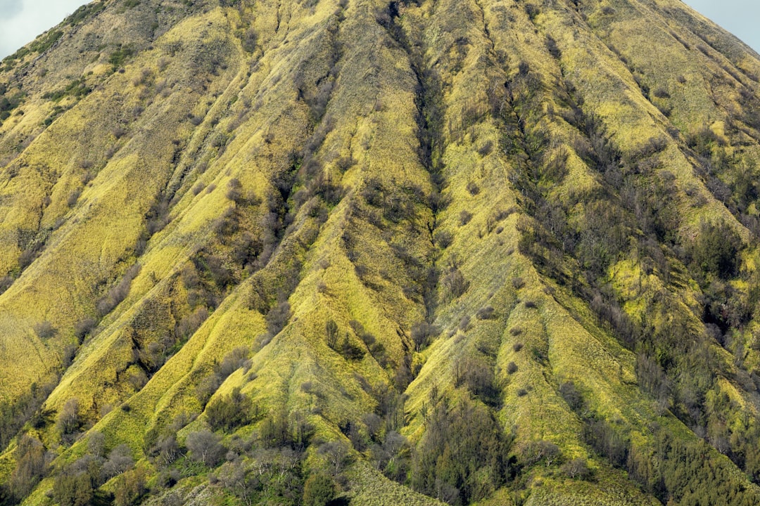 Gorilas de Montaña en Kinigi: Trekking en el Parque Vulcánico - GHWP+JFM | Secret World Trip Planner