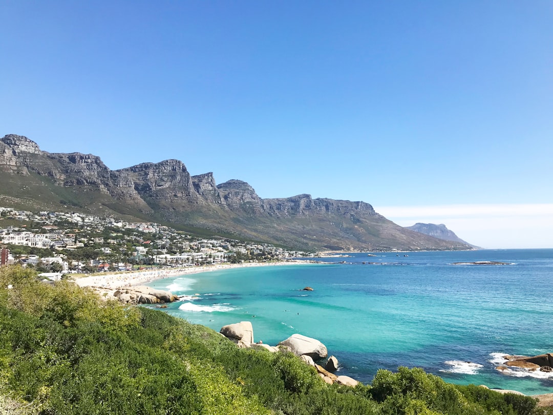 Boulders Beach: i pinguini africani di Cape Town - Cape Town | Secret World Trip Planner