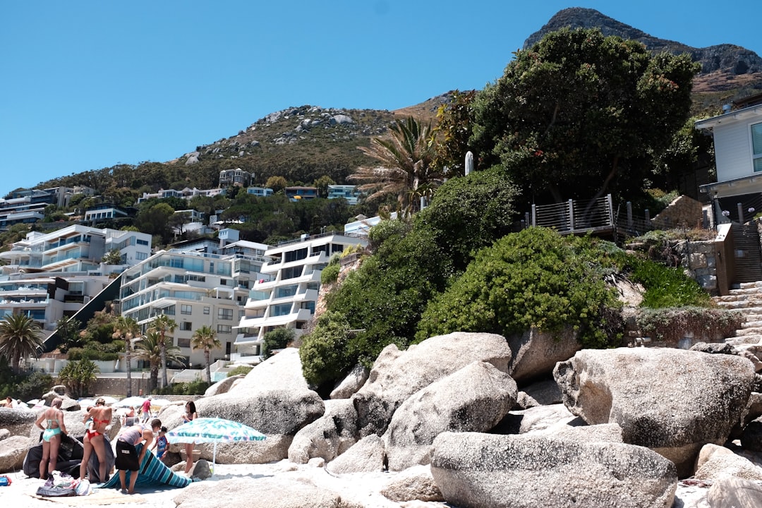 Boulders Beach: i pinguini africani di Cape Town - Cape Town | Secret World Trip Planner