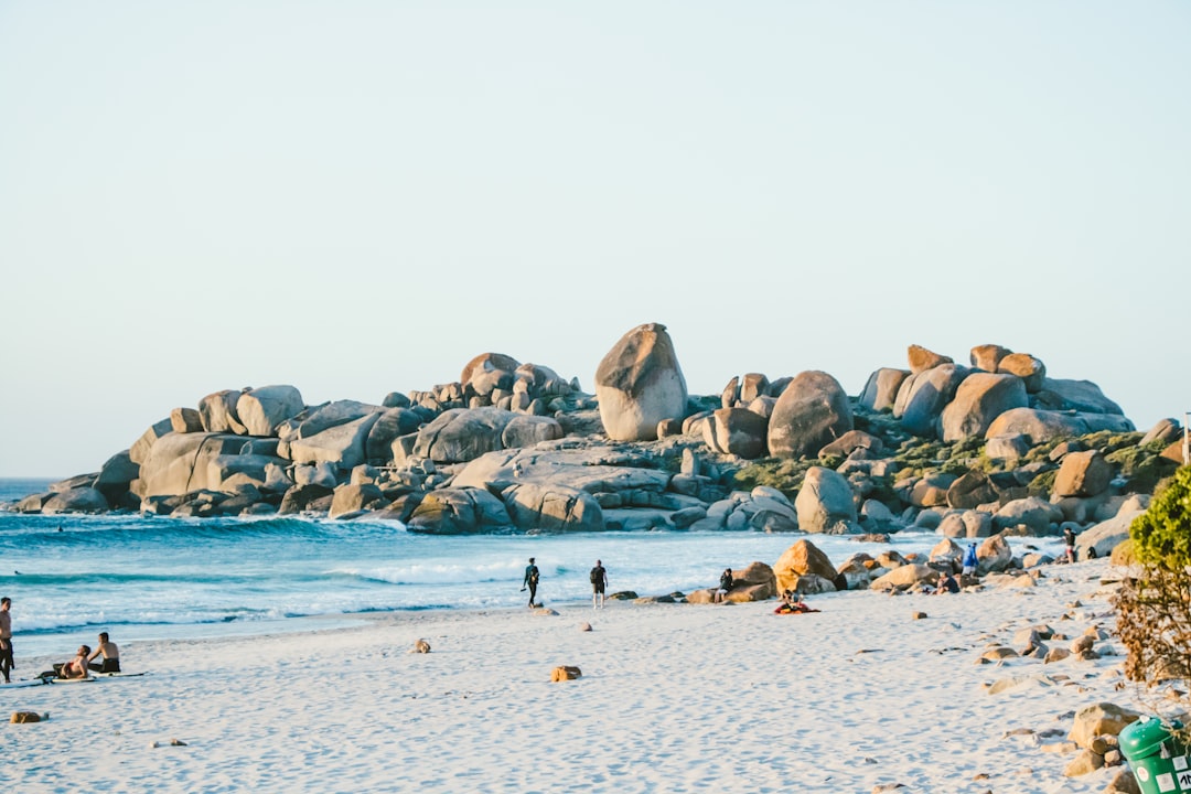 Boulders Beach: African Penguins in Cape Town — Cape Town