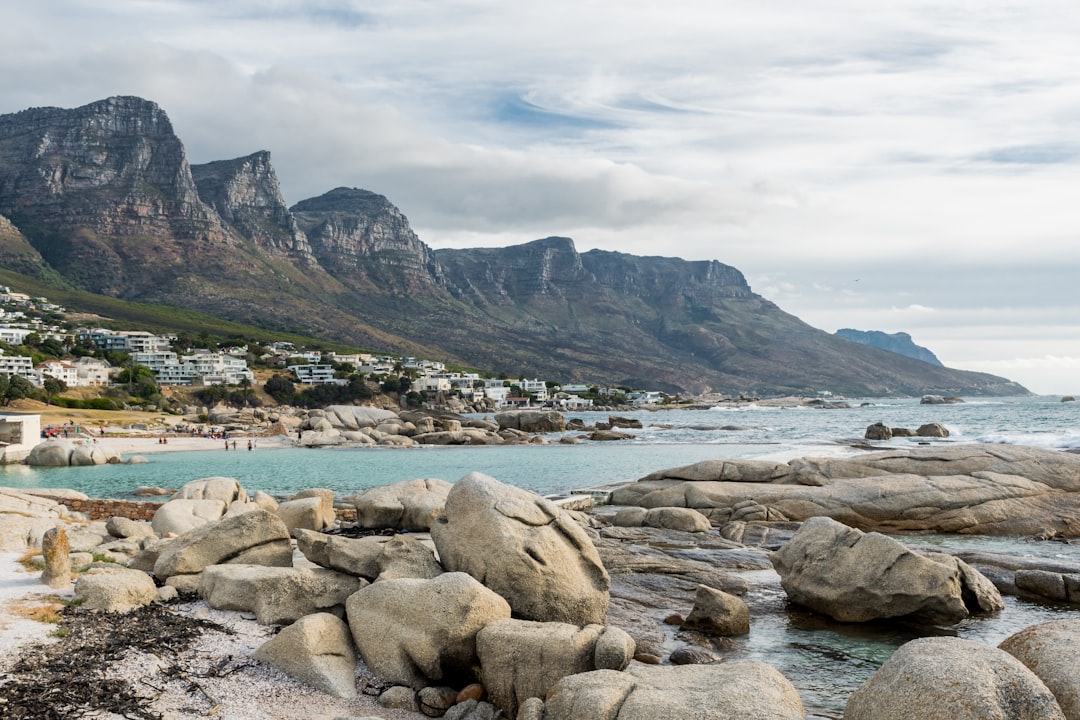 Boulders Beach : les pingouins africains de Cape Town - Cape Town | Secret World Trip Planner