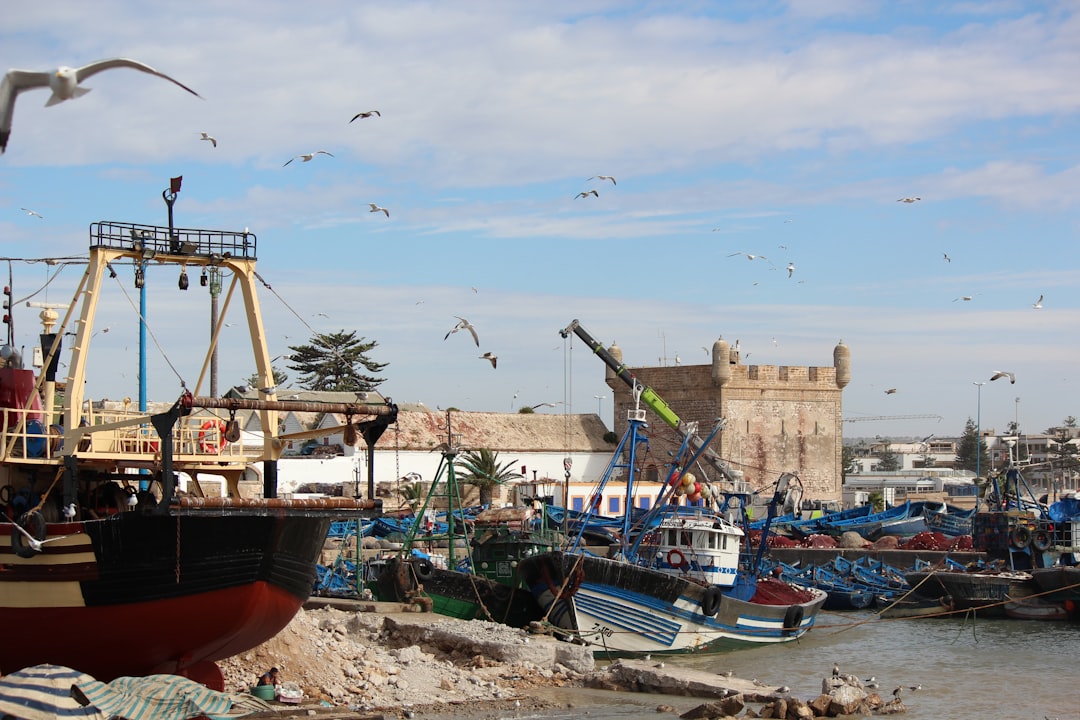 Mercati di Essaouira: legno, vento e spezie blu - Medina of Essaouira | Secret World Trip Planner