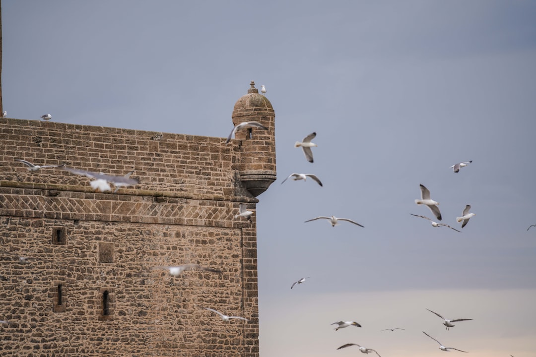 Marchés d'Essaouira : bois, vent et épices bleues - Medina of Essaouira | Secret World Trip Planner