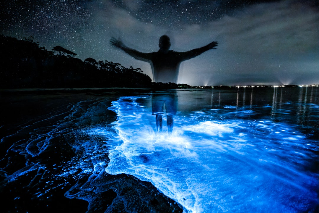 Baia Bioluminescente di Vieques: luce nell'acqua - Vieques 00765 | Secret World Trip Planner