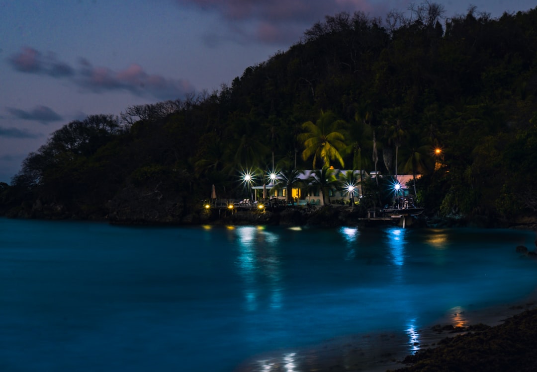 Baia Bioluminescente di Vieques: luce nell'acqua - Vieques 00765 | Secret World Trip Planner