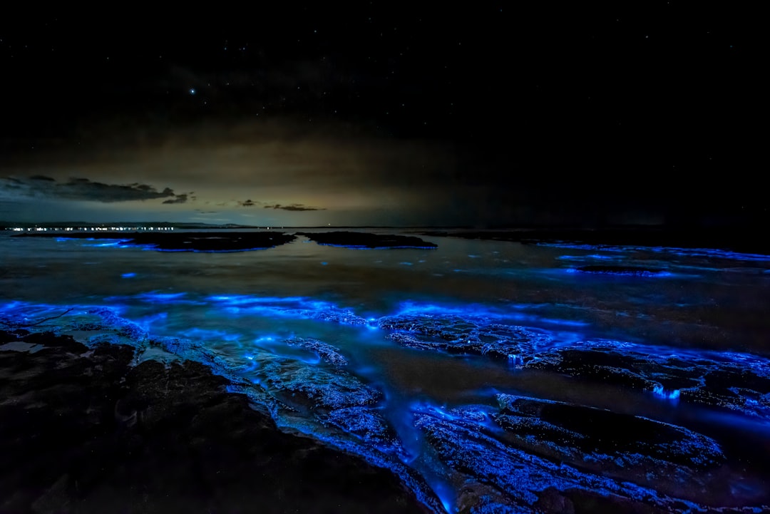 Vieques Bioluminescent Bay: Light in the Water — Vieques 00765