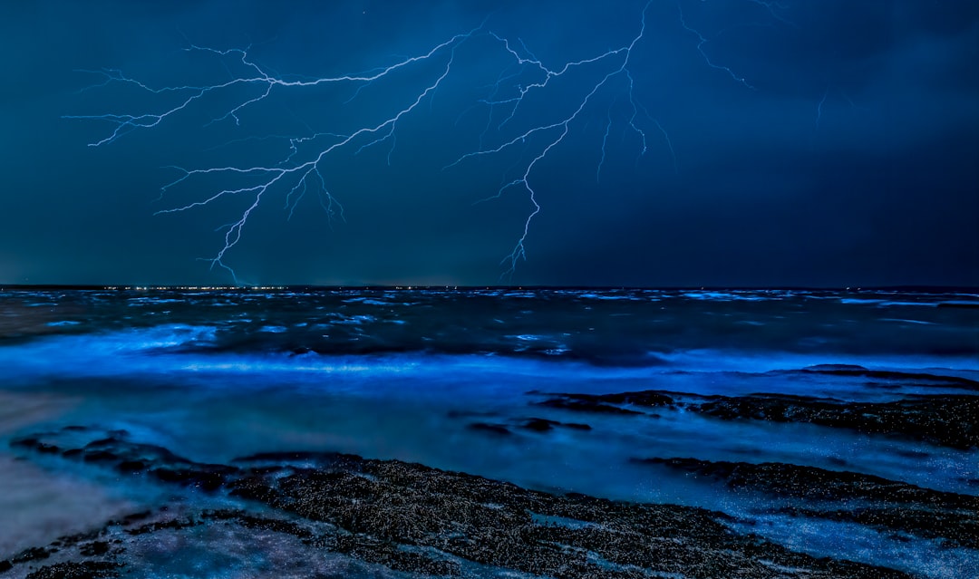 Vieques Bioluminescent Bay: Light in the Water - Vieques 00765 | Secret World Trip Planner
