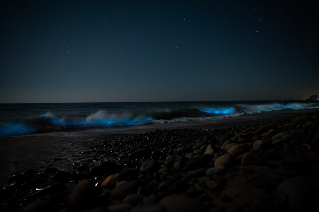 Vieques Bioluminescent Bay: Light in the Water - Vieques 00765 | Secret World Trip Planner