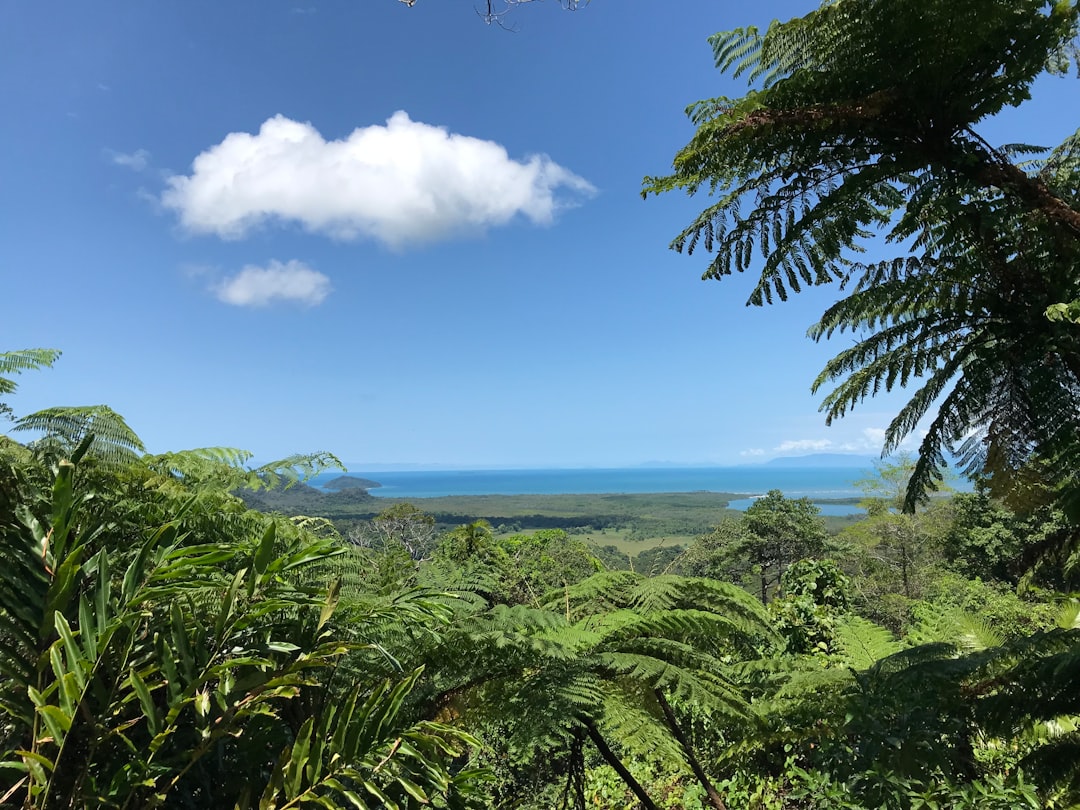Daintree : paysages entre forêt et barrière corallienne - 2333 Cape Tribulation Rd | Secret World Trip Planner