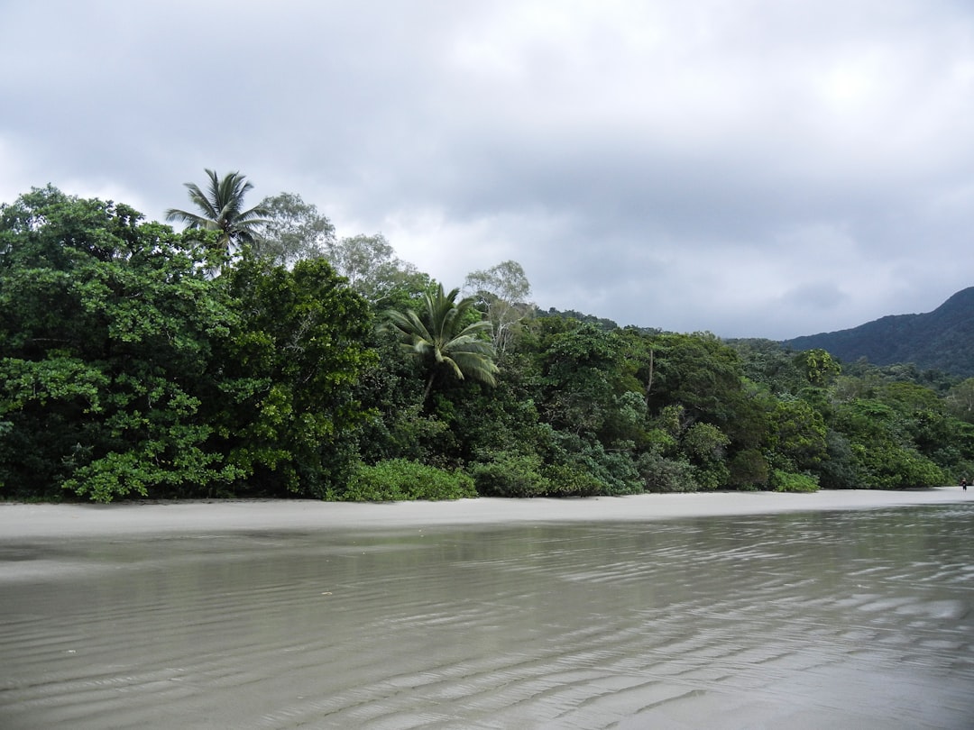 Daintree : paysages entre forêt et barrière corallienne - 2333 Cape Tribulation Rd | Secret World Trip Planner