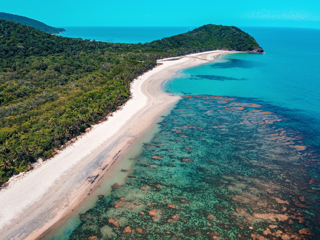 Floresta de Daintree: paisagens entre floresta e recife — 2333 Cape Tribulation Rd