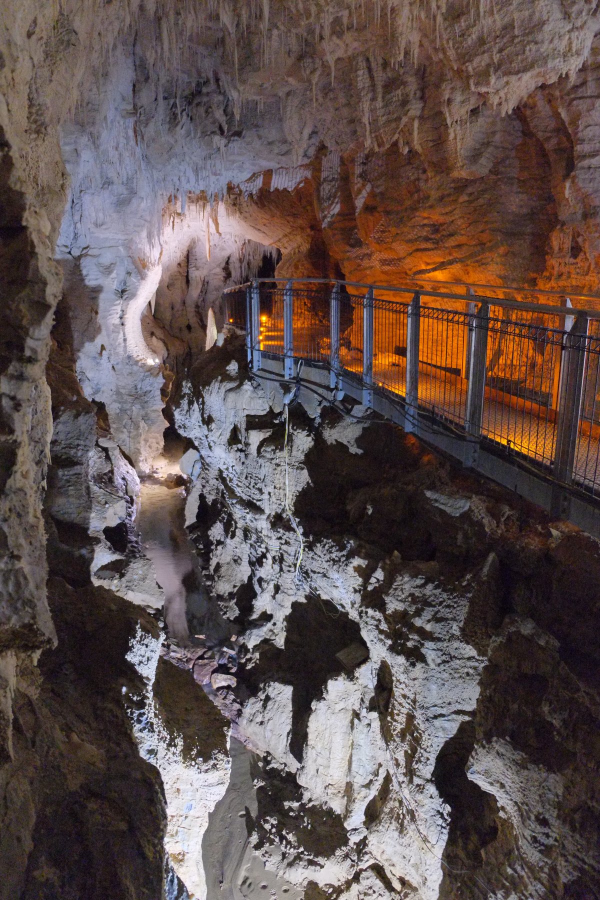Ruakuri: The Glowworm Caves of Waitomo - Ruakuri Mağarası | Secret World Trip Planner