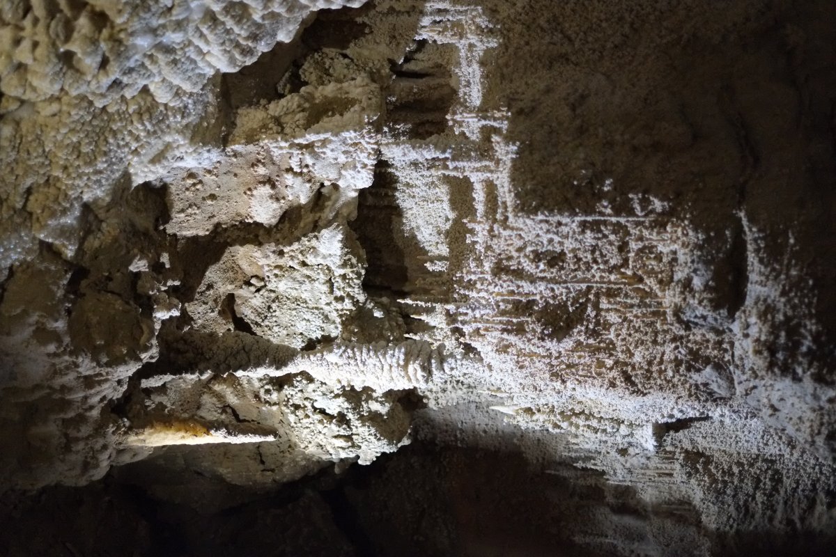 Ruakuri : les grottes scintillantes de Waitomo - Ruakuri Mağarası | Secret World Trip Planner
