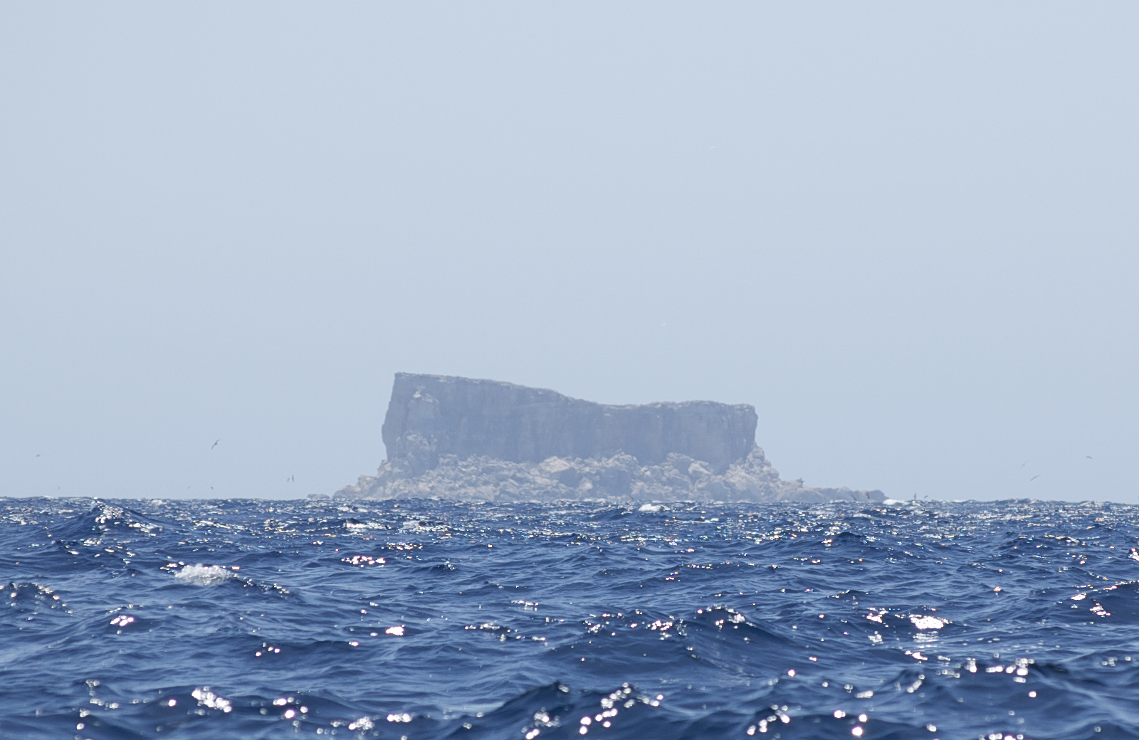 Scopri Filfla: la gemma naturale del sud di Malta - Siġġiewi | Secret World Trip Planner