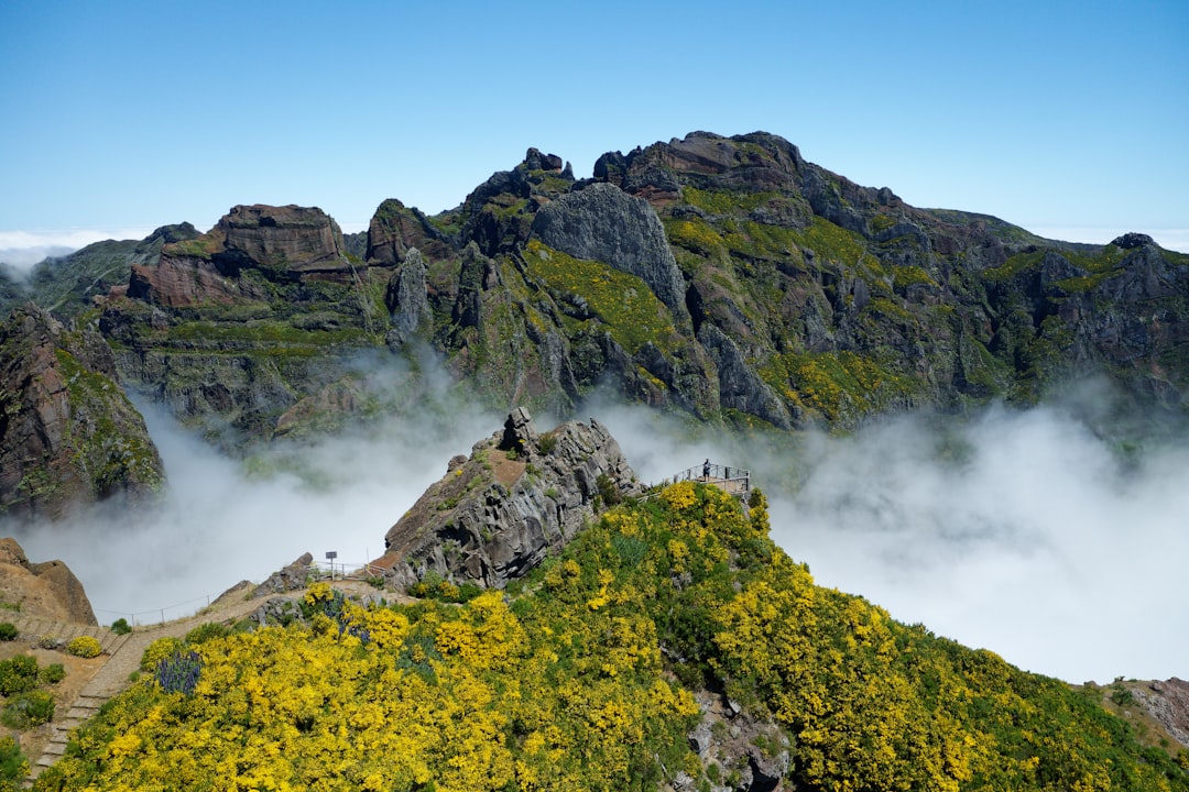 Pico do Fogo: trekking no vulcão ativo de Cabo Verde - Pico do Fogo | Secret World Trip Planner