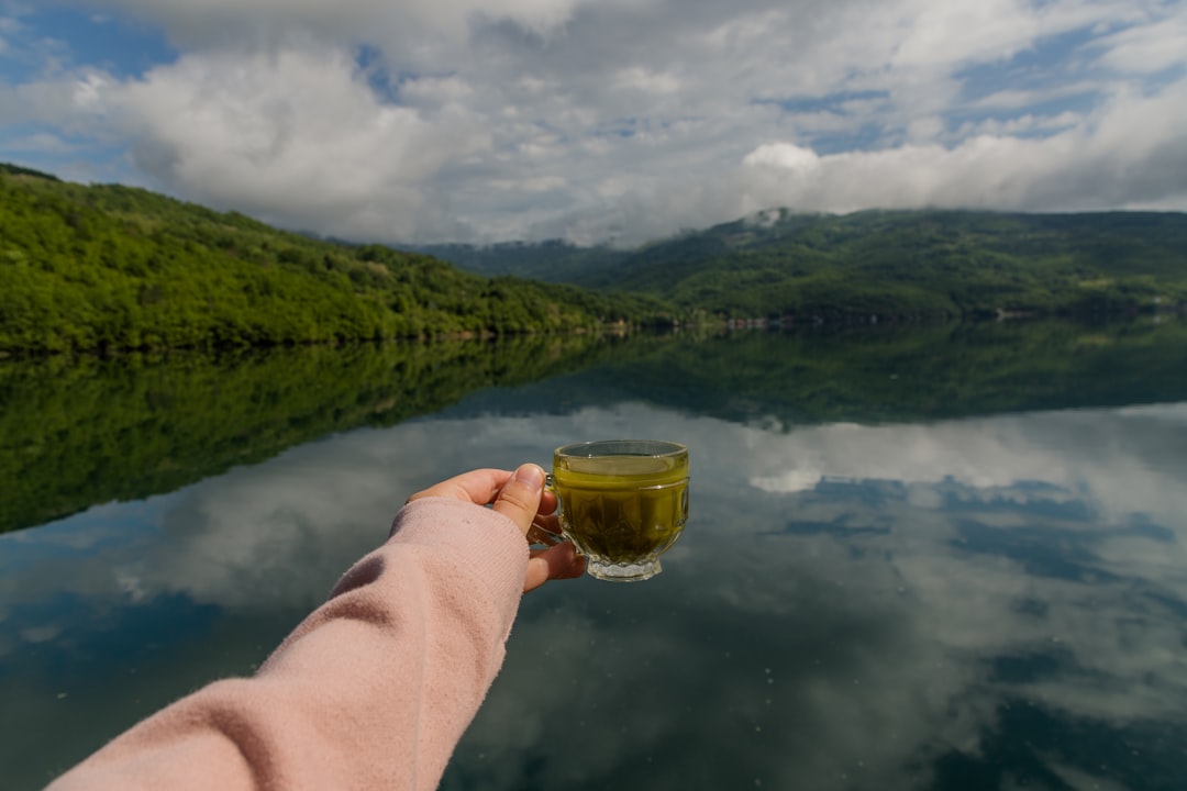 Lago di Perućac : l'émeraude de l'ouest serbe | Secret World Trip Planner