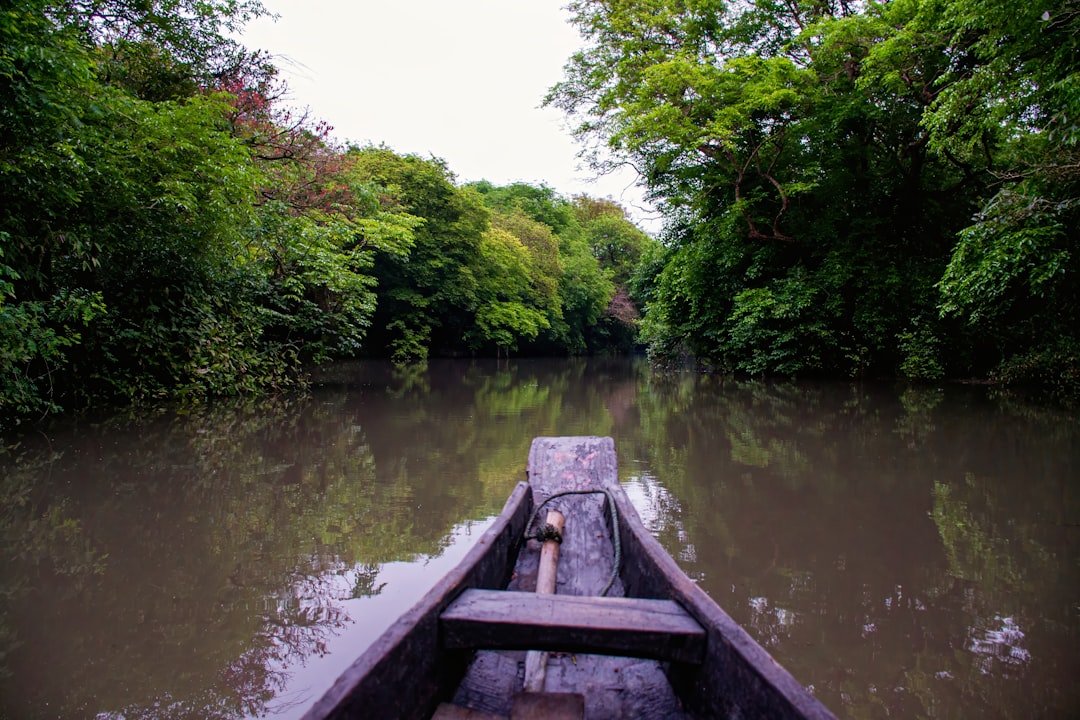 Ratargul: la foresta allagata del Bangladesh - 2W79+MFG | Secret World Trip Planner