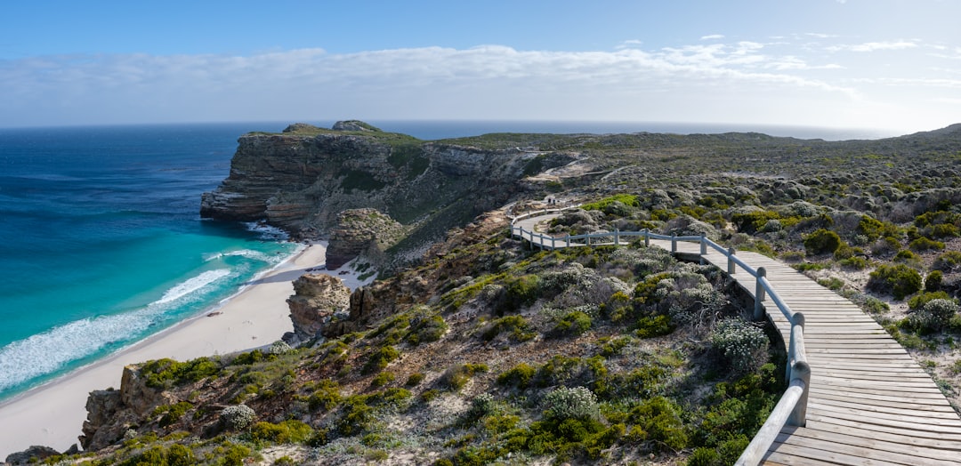 Cape Point: panorami tra due oceani in Sudafrica - Cape Point | Secret World Trip Planner
