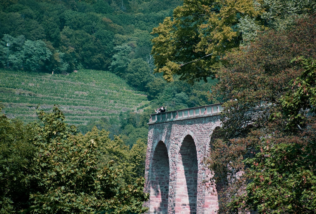 Le Pont du Diable de Gablenz : un cercle parfait - Halbendorfer Str. | Secret World Trip Planner