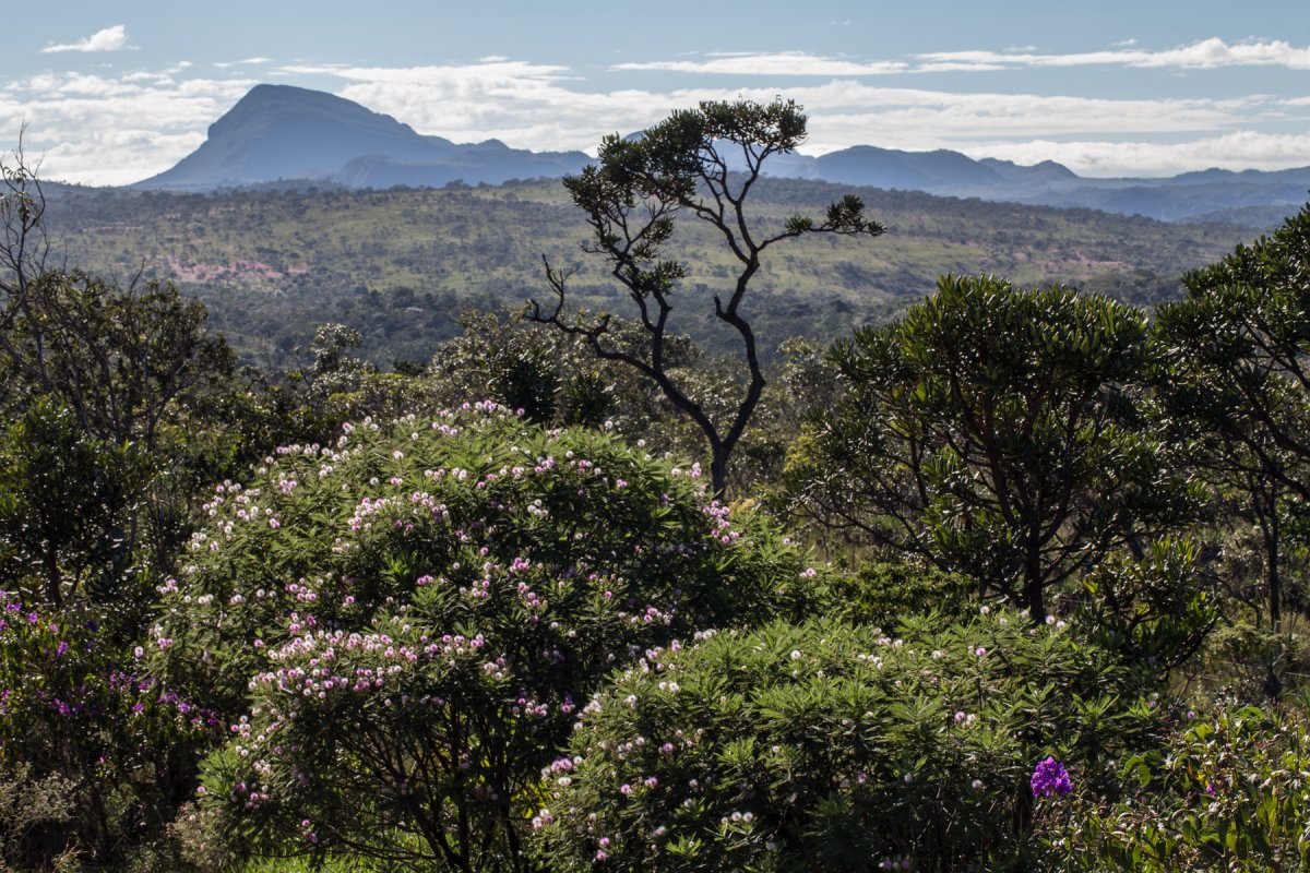 Chapada dos Veadeiros: Wildes Hochland Brasiliens - GO | Secret World Trip Planner