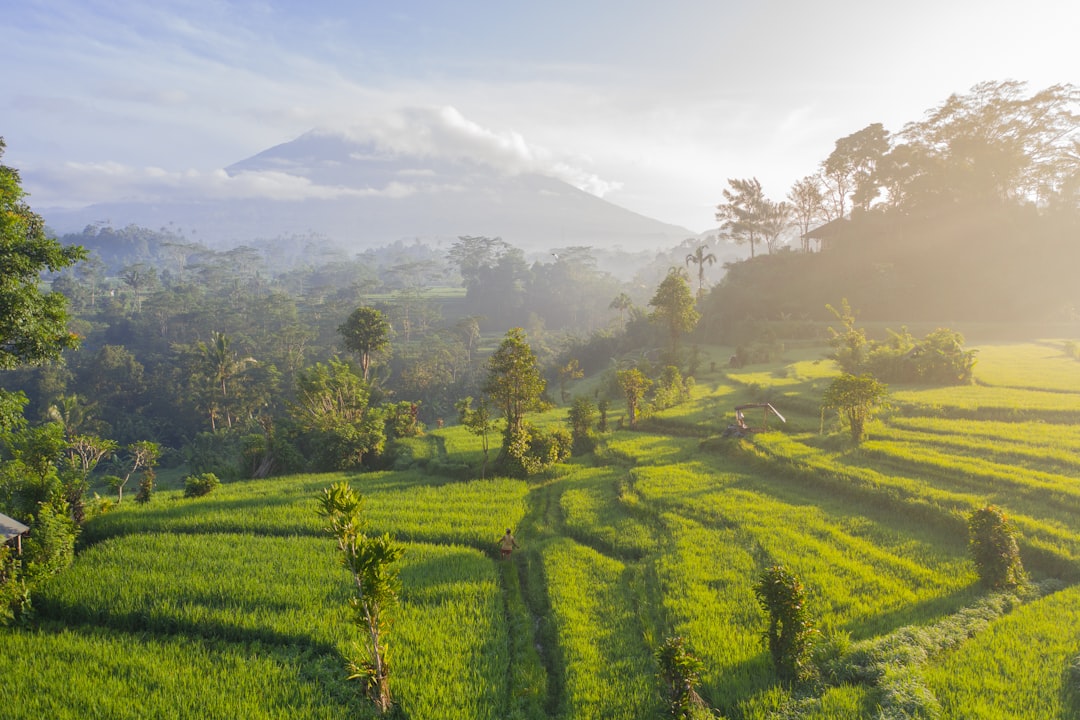 Vacances à Bali pas chères 2026 : guide pratique - Bali | Secret World Trip Planner