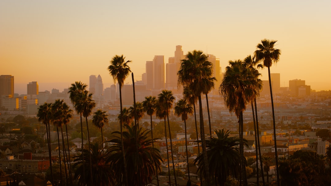 Best Travel Apps 2026: Top 5 Picks in Los Angeles - Los Angeles | Secret World Trip Planner